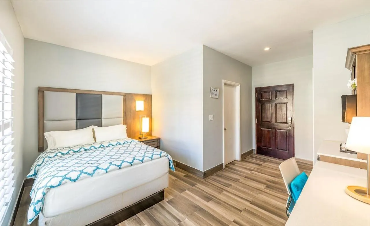 Sea Esta Studio II - Ocean Views From Pool! Turtle Cove