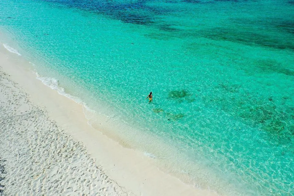 Sea Esta Studio II - Ocean Views From Pool! Turtle Cove 0*,  Turks And Caicos Islands